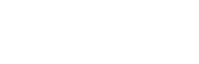 zebra-blanco